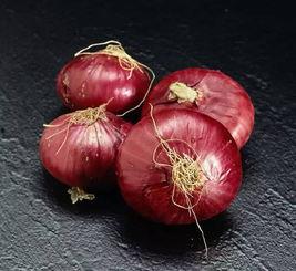 国产白洋葱品种介绍视频,品质优良，营养丰富，引领市场新潮流