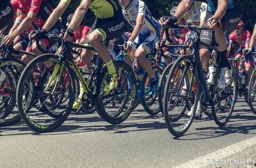 国产自行车图解大全视频,探寻民族品牌风采与技术创新