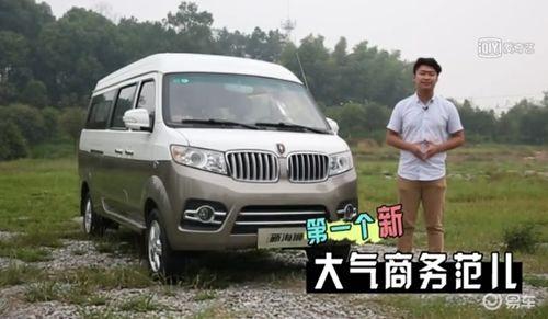 国产仿海狮测评视频,性能解析与驾驶体验分享