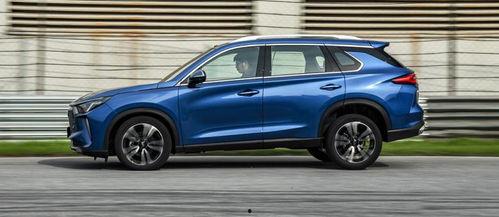 魅男视频 全见国产,揭秘国产影视圈的璀璨星辰